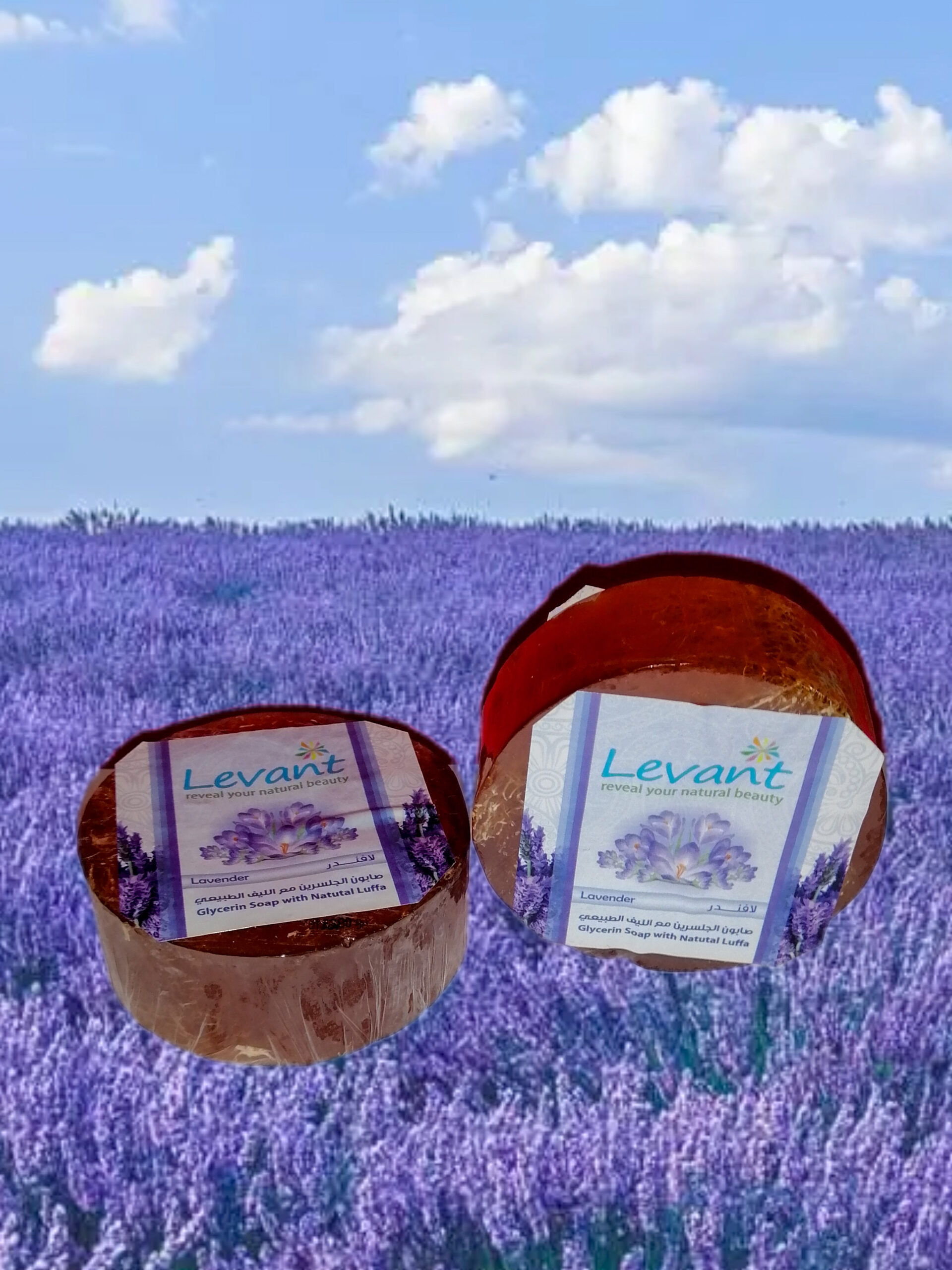 Glycerin Soap with Natural Luffa – LAVENDER