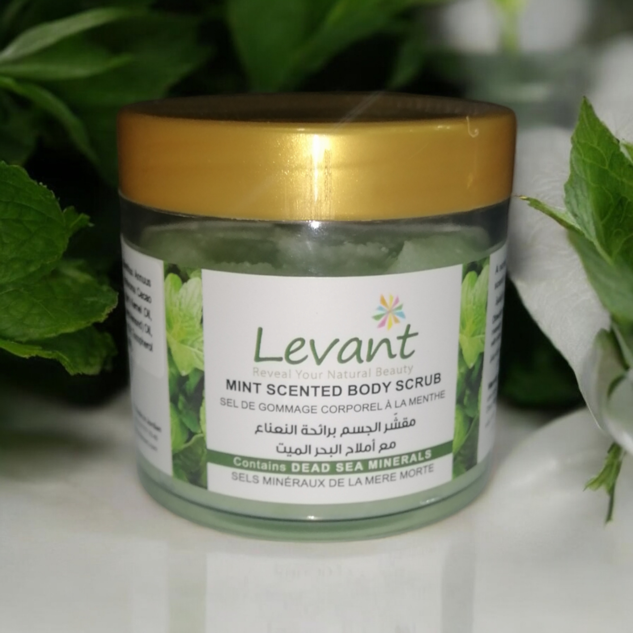 MINT SCENTED BODY SCRUB-250G