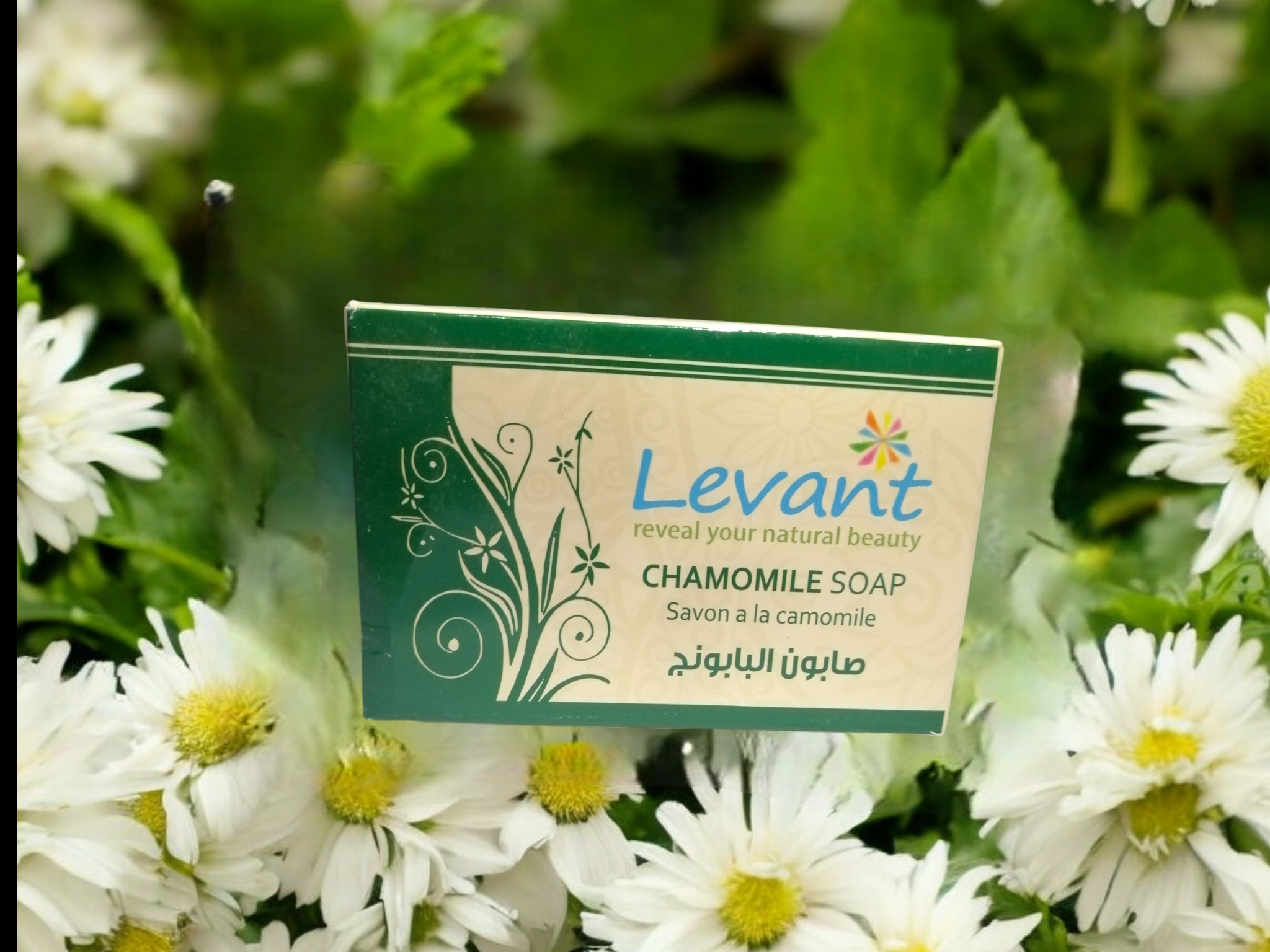 DEAD SEA CHAMOMILE SOAP